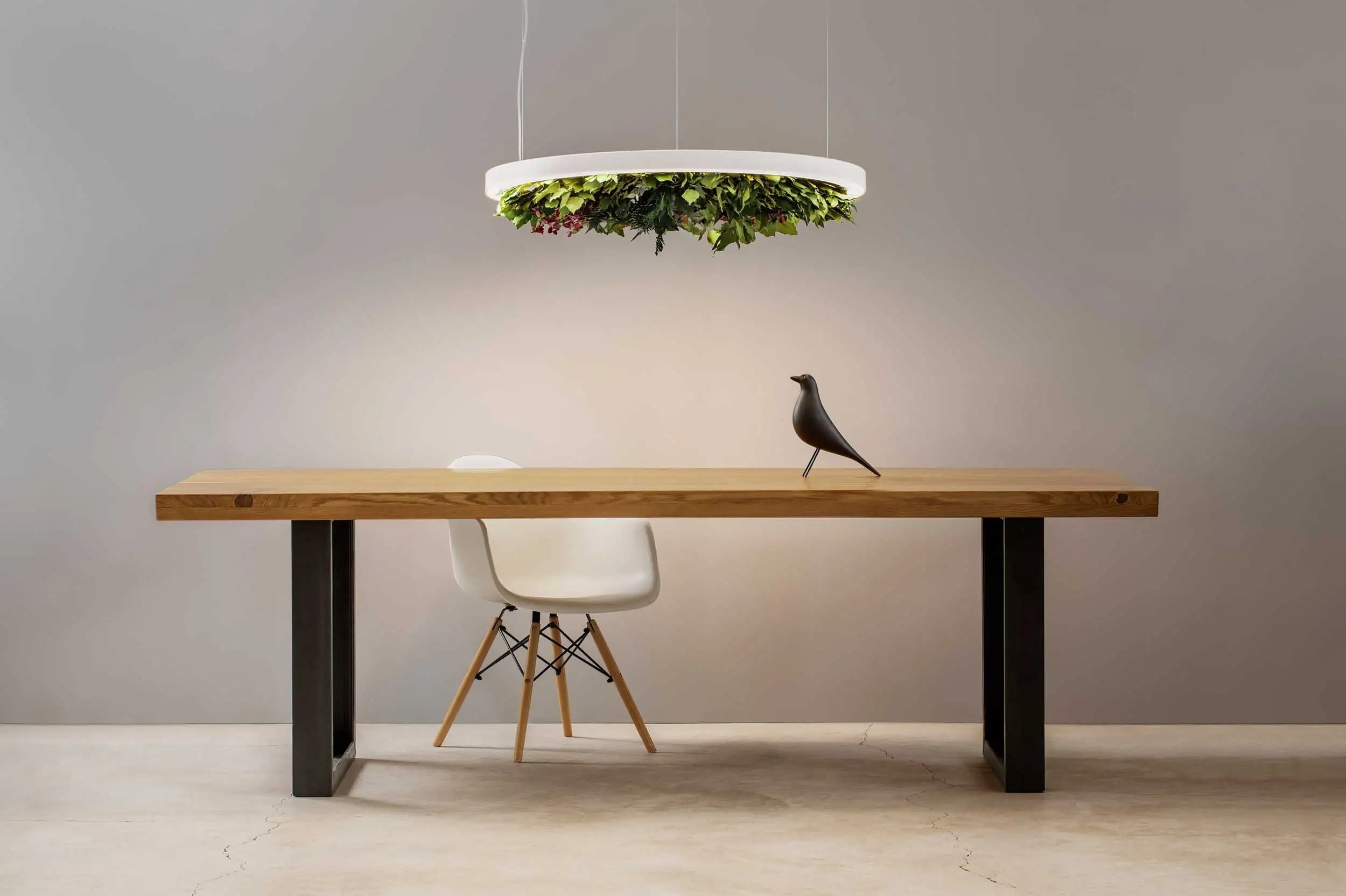 Gavin Silence Leaf, Olev