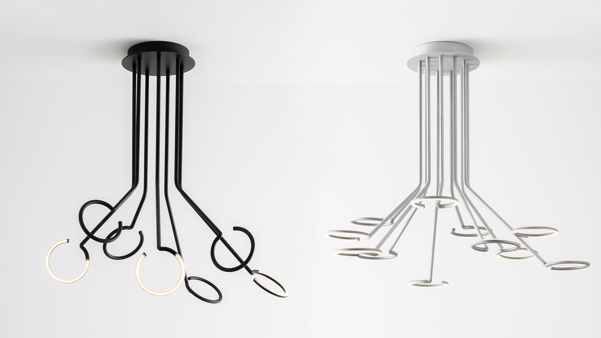 Vine Light