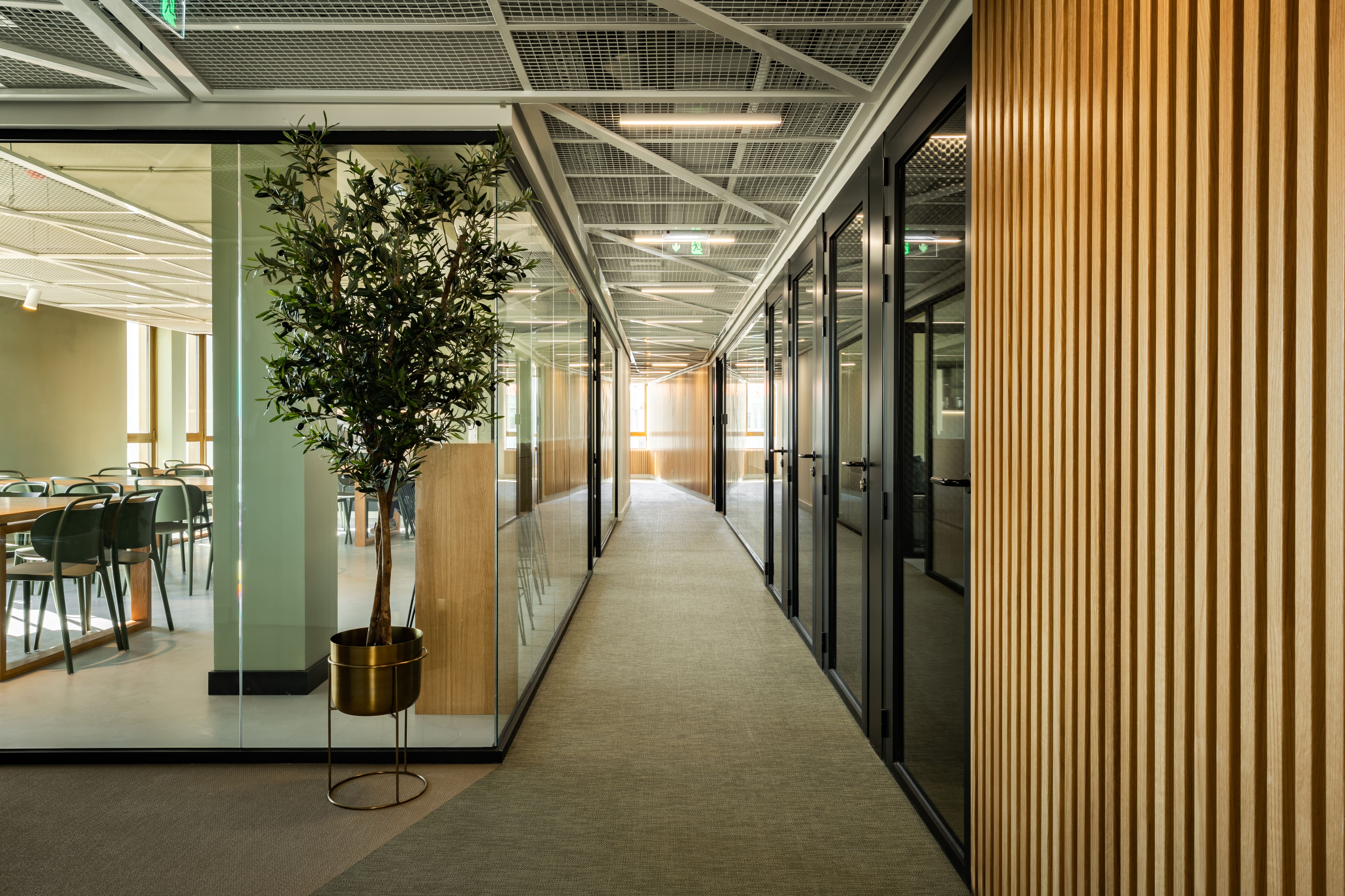 Vertical Coworking Dom Henrique