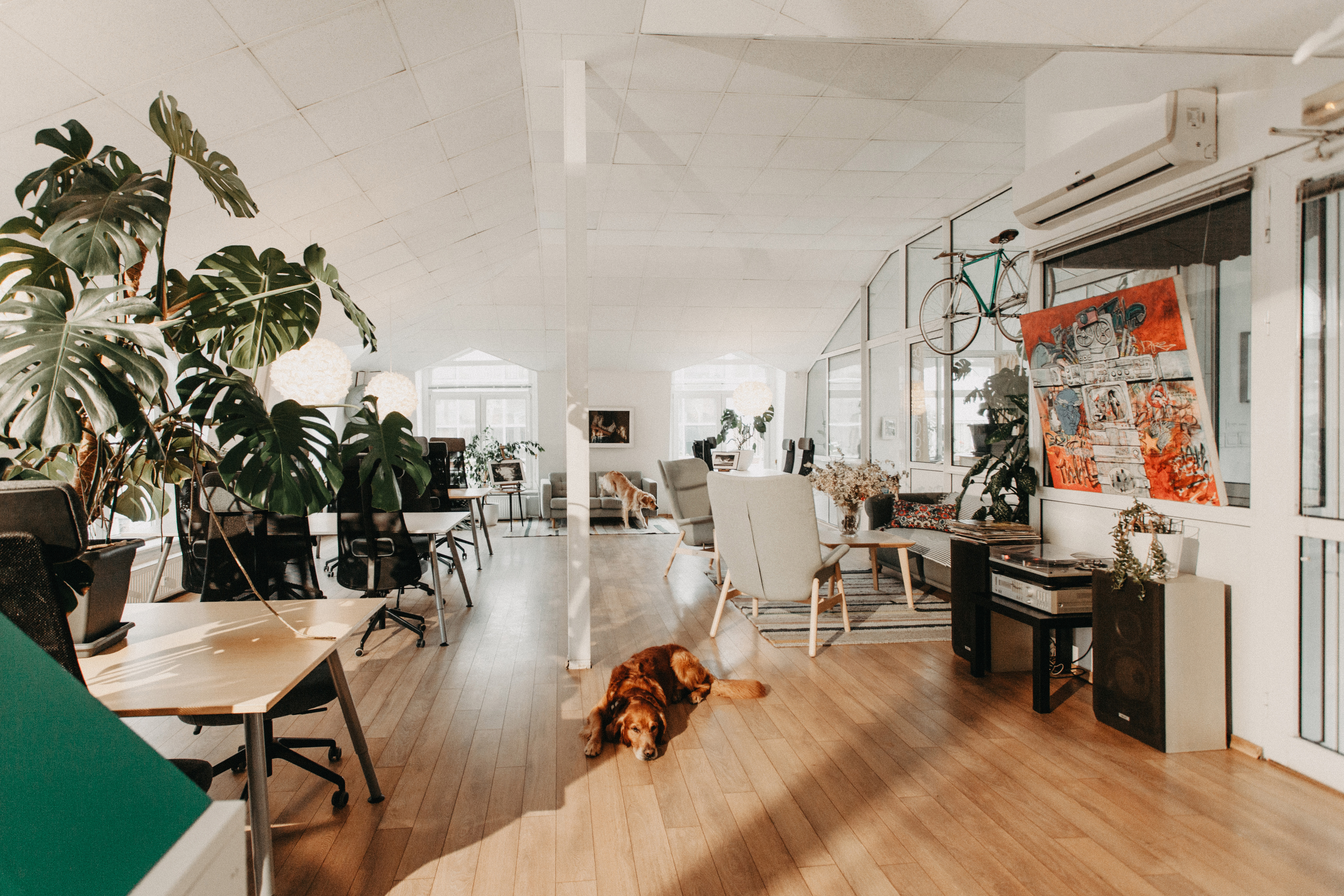 SOHO - Sofia Holistic Coworking Company coworking — photo 1