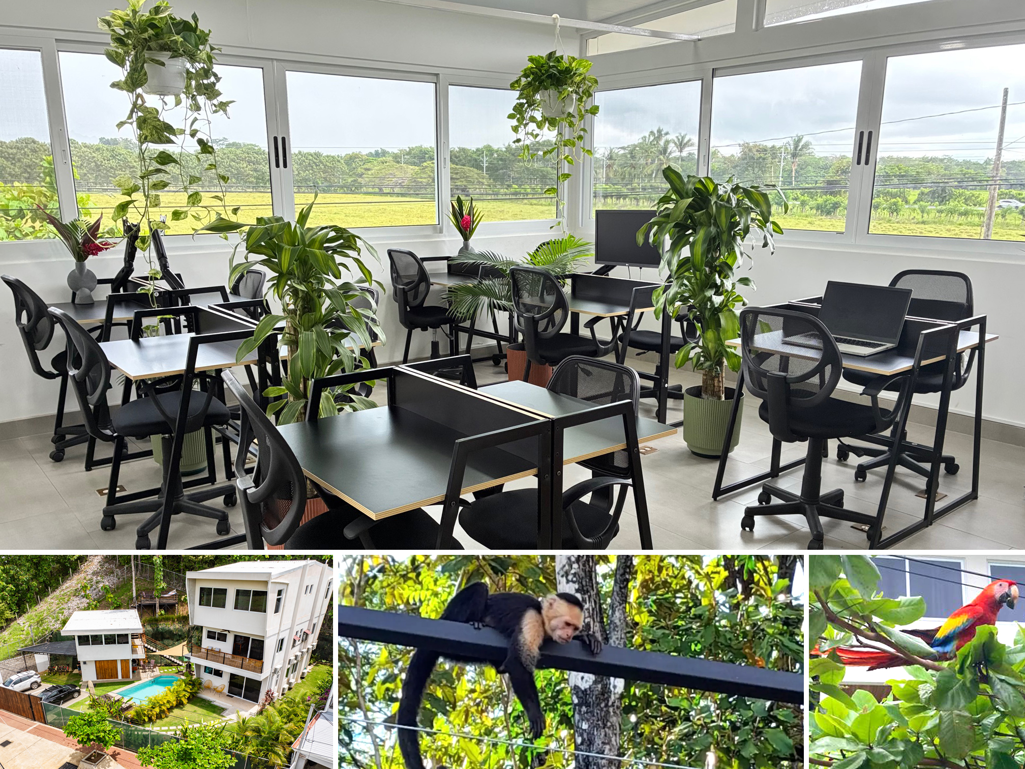Coworking space in Calle Hermosa, Costa Rica