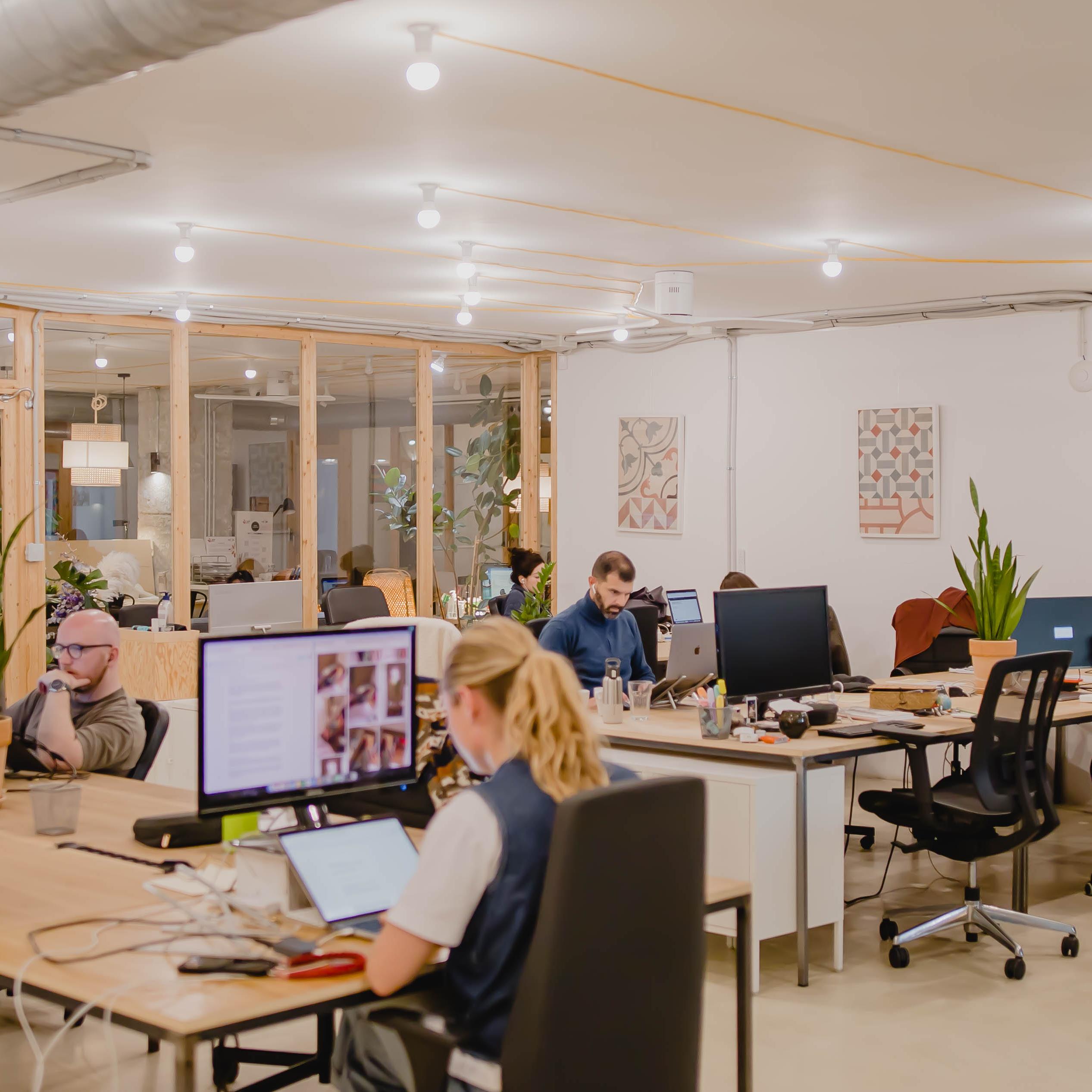 MOB Caterina coworking — photo 1