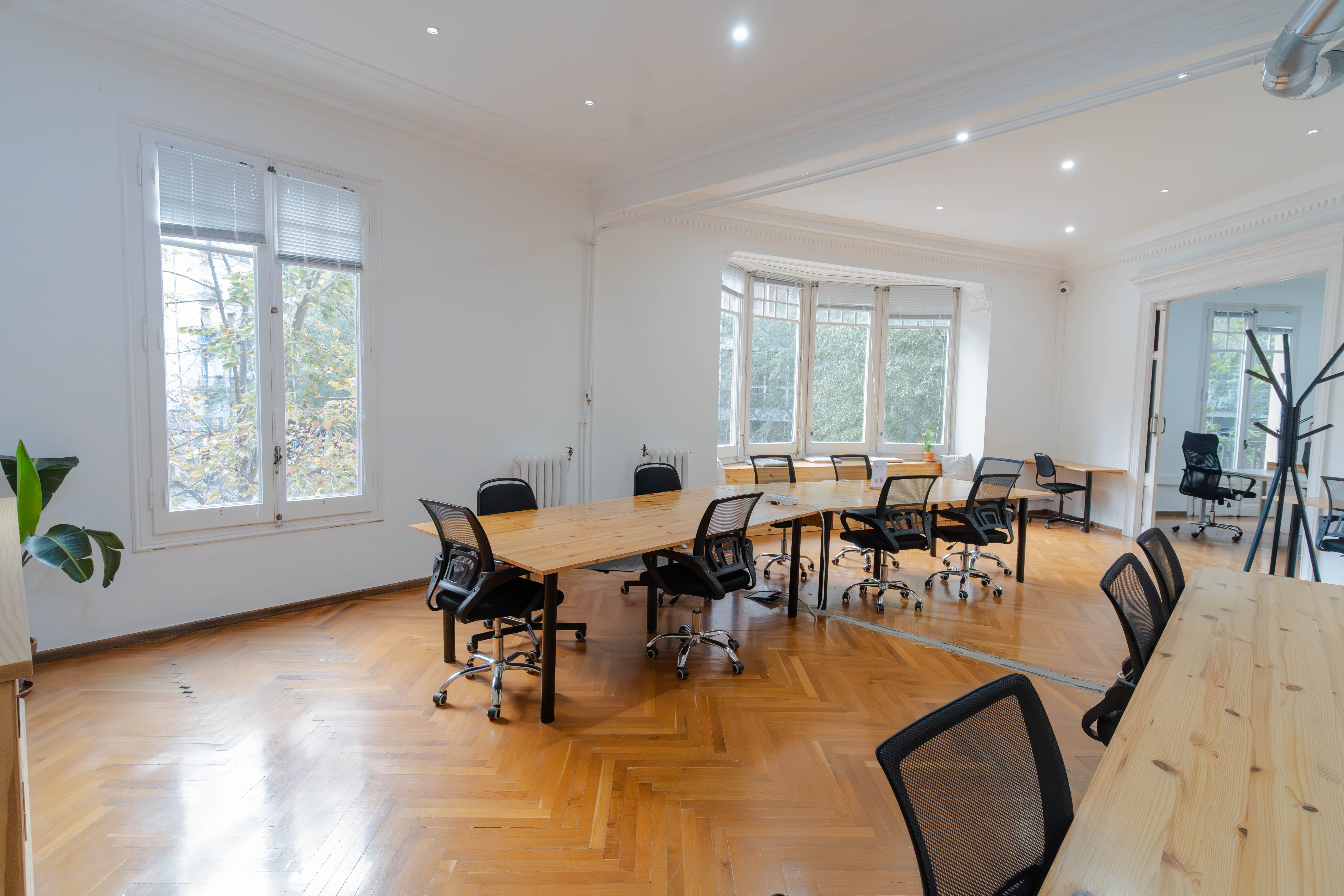 Sowo Coworking coworking — photo 4