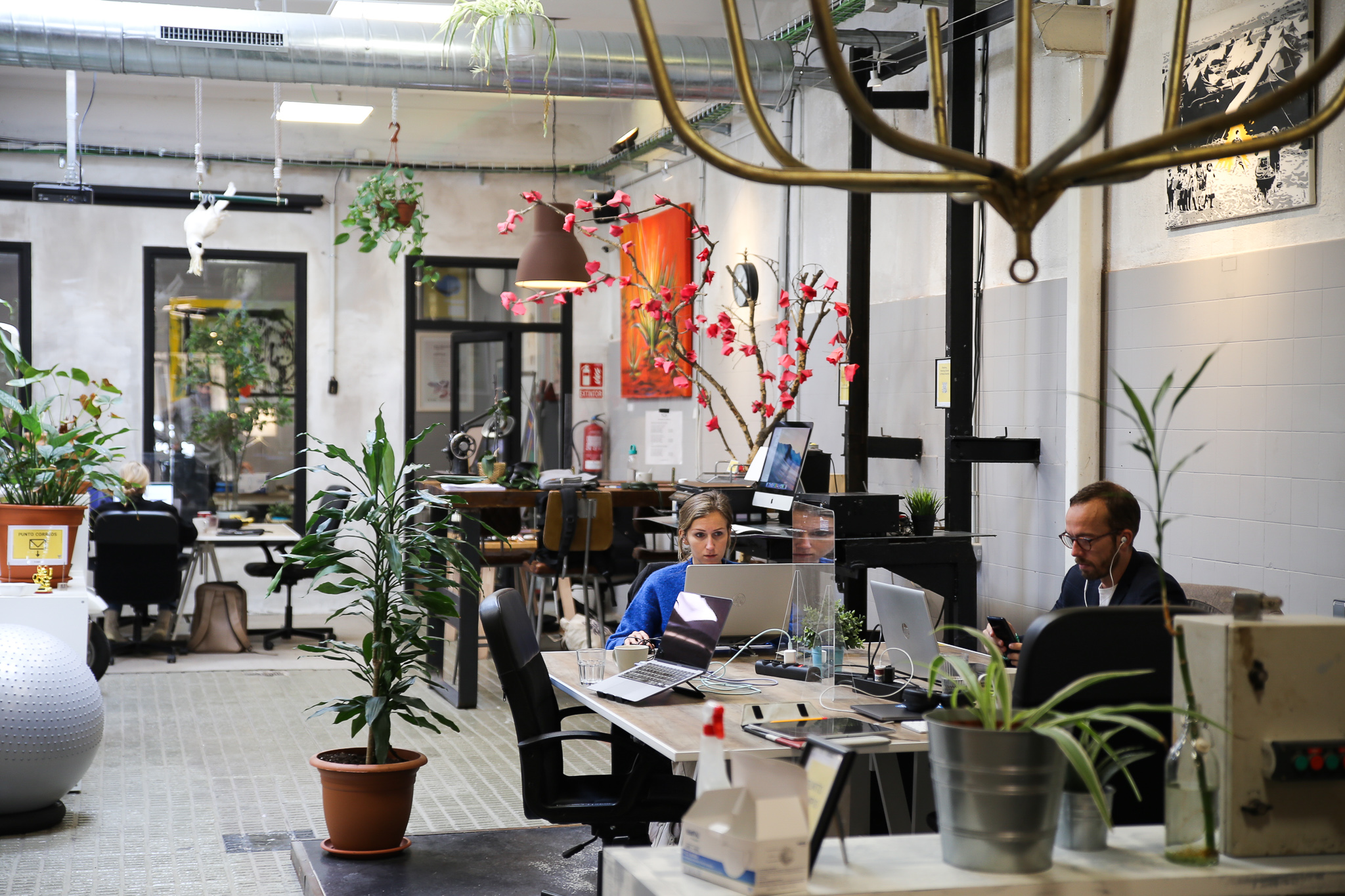 La Vaca Coworking coworking — photo 1