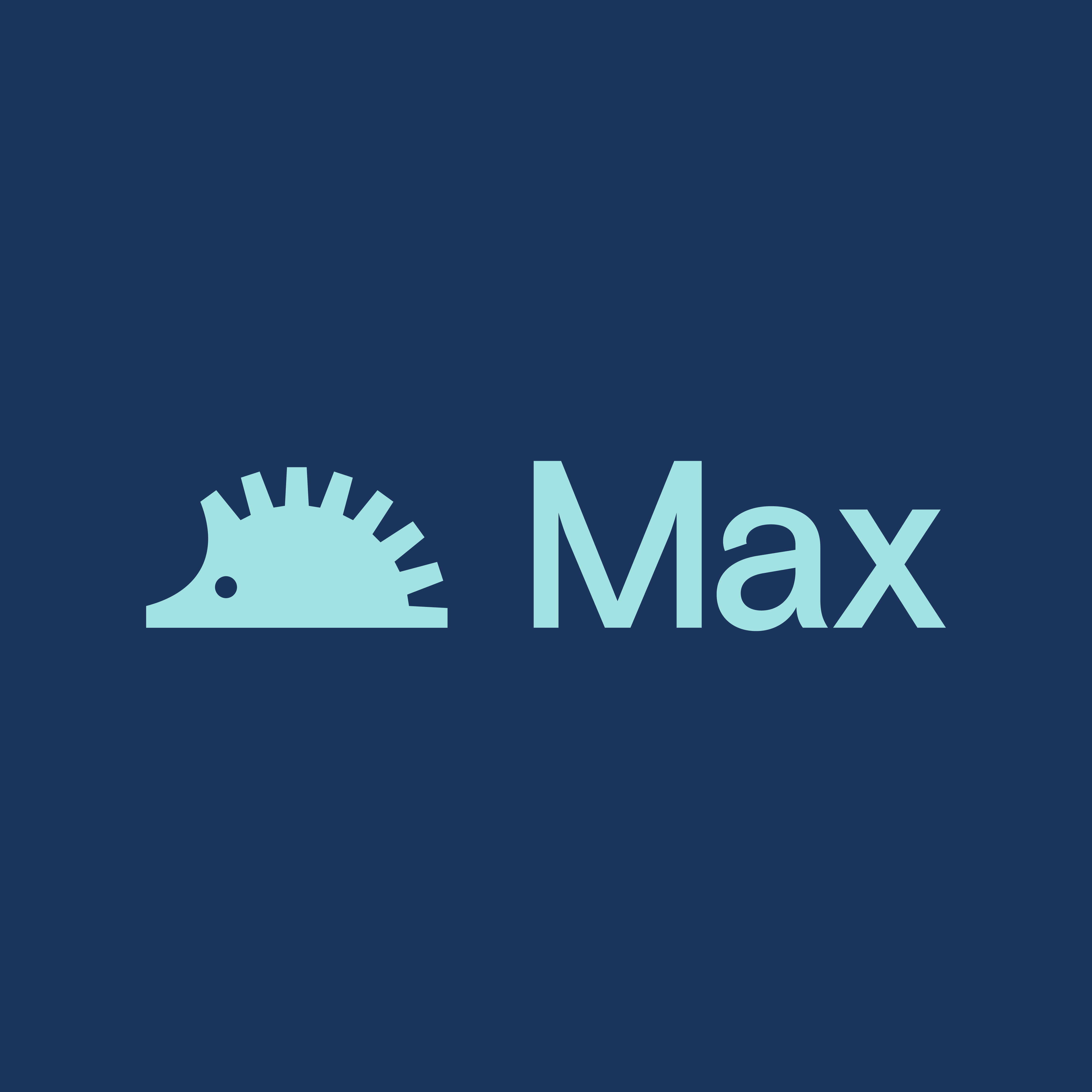 Max Browser